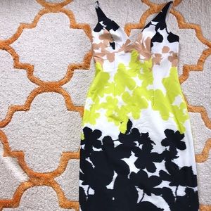 Milly “Liz” floral print sheath dress